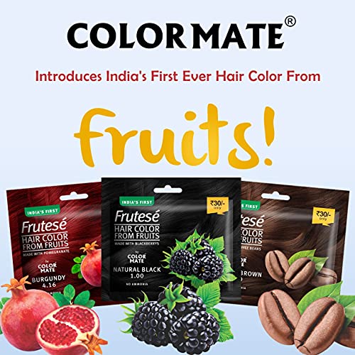 COLOR MATE Shampoo Hair Color (Dark Brown), 1 Count - Image 2