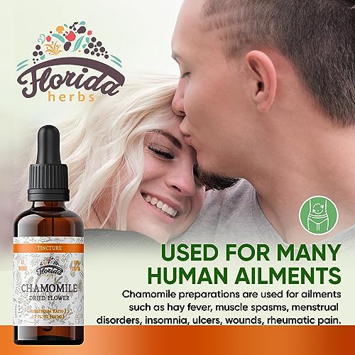 FLORIDA HERBS Chamomile Tincture, Organic Chamomile Extract (Matricaria Recutita) Flowers - Image 2