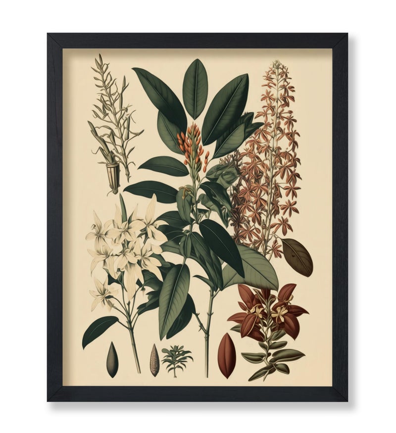 Poster Master Vintage Orchid Poster - Retro Flower Print - Exotic Plant Wall Art - Botanical Art - Gift for Men & Women - Floral Decor for Bedroom, Living Room or Kitchen - 8x10 UNFRAMED Wall Art - Image 1