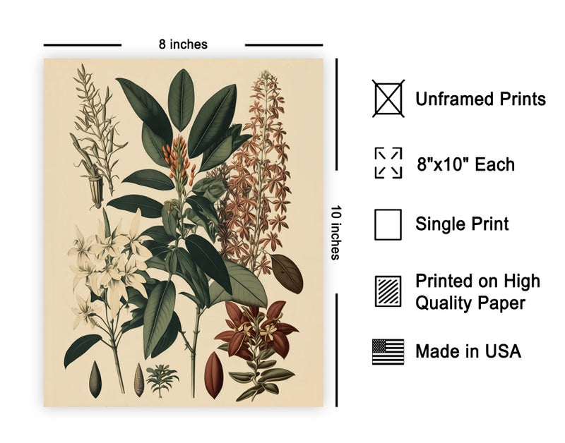 Poster Master Vintage Orchid Poster - Retro Flower Print - Exotic Plant Wall Art - Botanical Art - Gift for Men & Women - Floral Decor for Bedroom, Living Room or Kitchen - 8x10 UNFRAMED Wall Art - Image 2