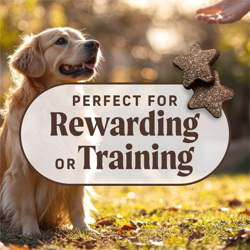 Merrick Power Bites Natural Soft And Chewy Real Meat Dog Treats, Grain Free Snack With Real Chicken Recipe - 6 oz. Bag - Image 1