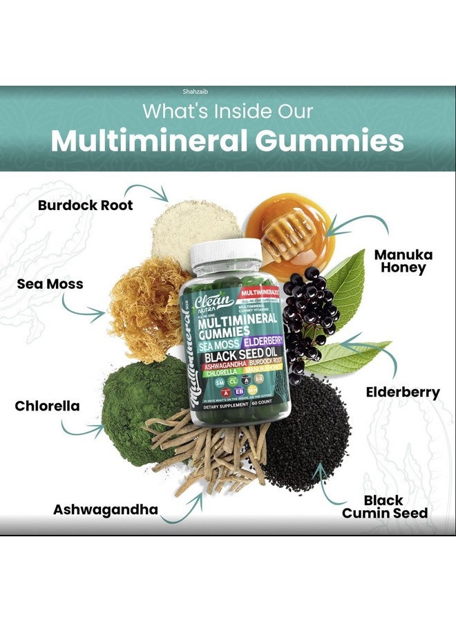 كلين نيوتراسيوتيكالز حلوى جيلاتينية من طحالب البحر النظيفة | زيت حبة البركة، أشواغاندا، البلسان، جذر الأرقطيون، الكلوريلا، عسل مانوكا - حلوى جيلاتينية نباتية من طحالب البحر الأيرلندية، فيتامينات للبالغين والأطفال والرجال والنساء - بنكهة التفاح الأخضر متعددة المعادن - Image 2