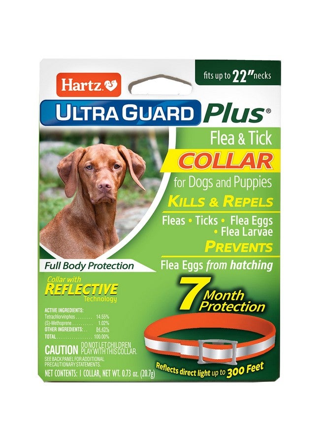Hartz UltraGuard Plus Flea & Tick Collar for Dogs and Puppies, 7 Month Flea and Tick Prevention and Protection Per Collar, Reflective Orange, up to 22 Inch Neck - Image 1
