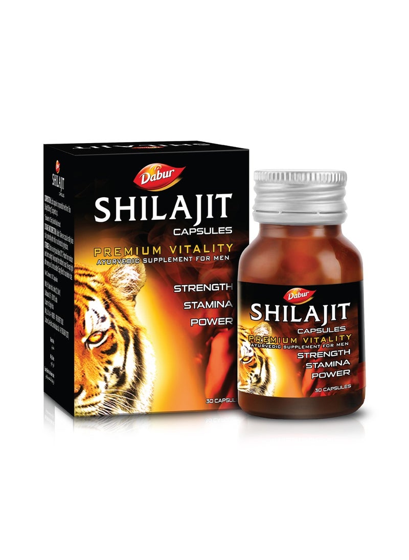 Dabur - Dabur Shilajit 30 Caps - Image 1