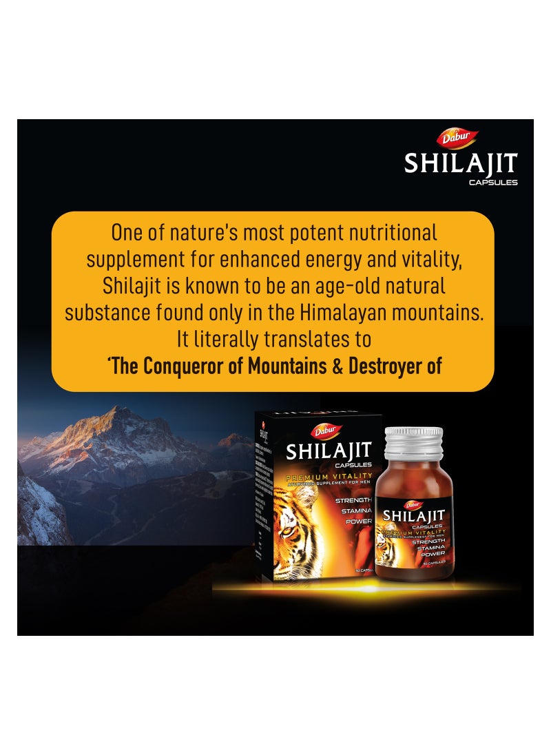 Dabur - Dabur Shilajit 30 Caps - Image 1