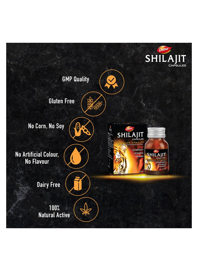 Dabur - Dabur Shilajit 30 Caps - Image 1
