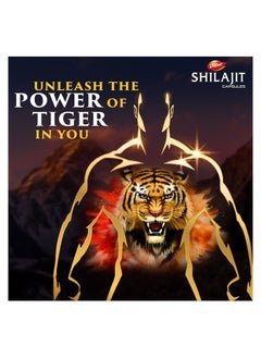 Dabur Dabur Shilajit 30 Caps  - Image 2
