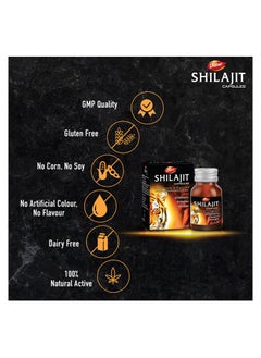 Dabur Dabur Shilajit 30 Caps  - Image 5