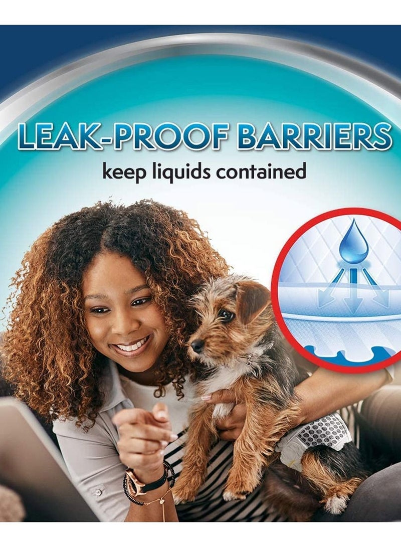 Simple Solution Small Disposable Male Dog Wraps 12Pc - Image 4