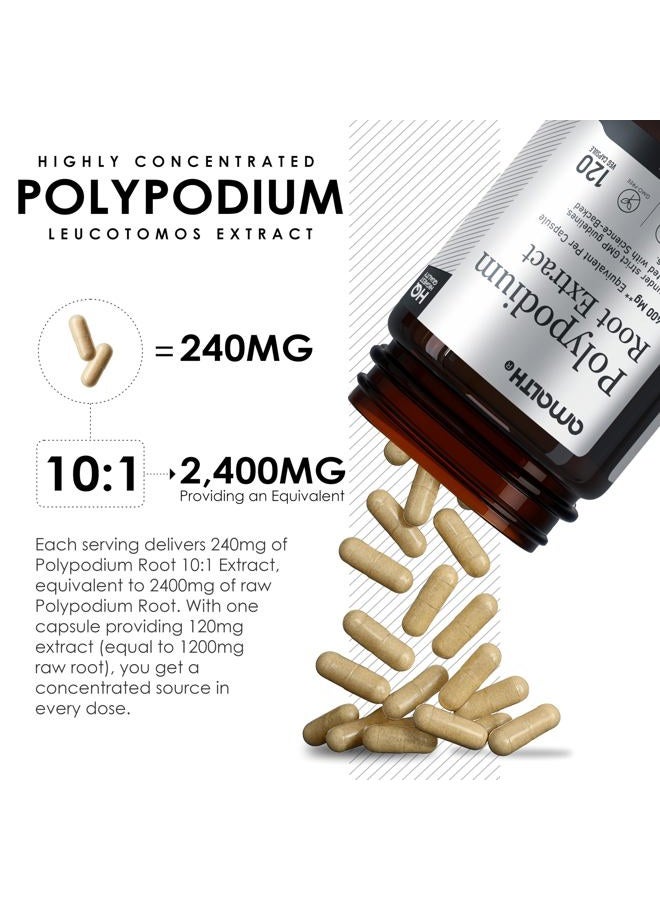 AMALTH Polypodium Leucotomos Extract 240 mg –Supports Natural Healthy Skin -Antioxidant Supplements -120 Capsules (Gluten Free & Non-GMO) - Image 5
