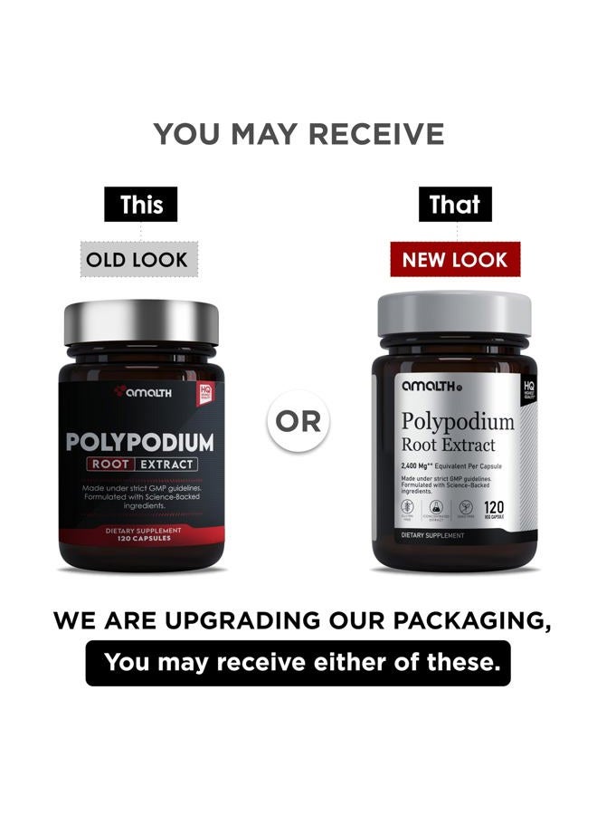 AMALTH Polypodium Leucotomos Extract 240 mg –Supports Natural Healthy Skin -Antioxidant Supplements -120 Capsules (Gluten Free & Non-GMO) - Image 3