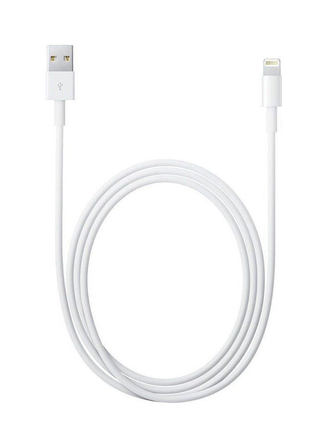 ابل  كابل Lightning للشحن ومزامنة البيانات بطول 1 متر مزود بمنفذ USB ومناسب لأجهزة آيفون وآي باد أبيض - Image 2