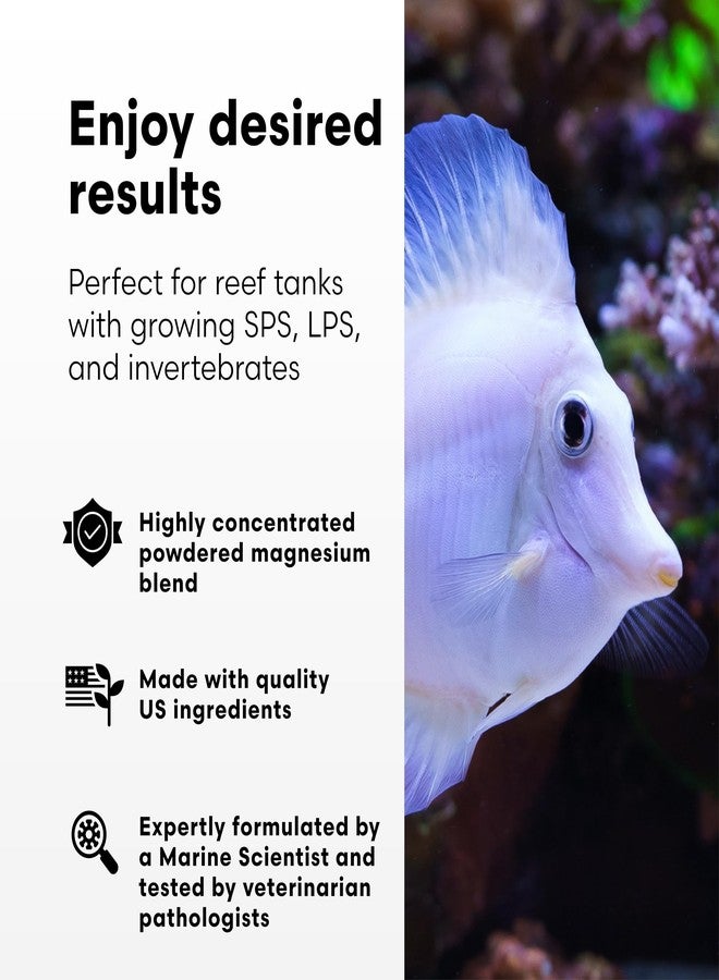 Brightwell Aquatics Magnesion-P High-Purity Powdered Magnesium Supplement for Reef Aquariums Supports Coral Growth Enhances Calcium & Alkalinity Balance, 400g - Image 3