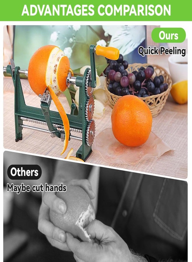 Pilipane fruit Peeler Corer, fruit Peeler Stainless Steel Quick Peeling wear resistance Multifunction Pear Peeler Potato Peeler for Orange Lemon - Image 3