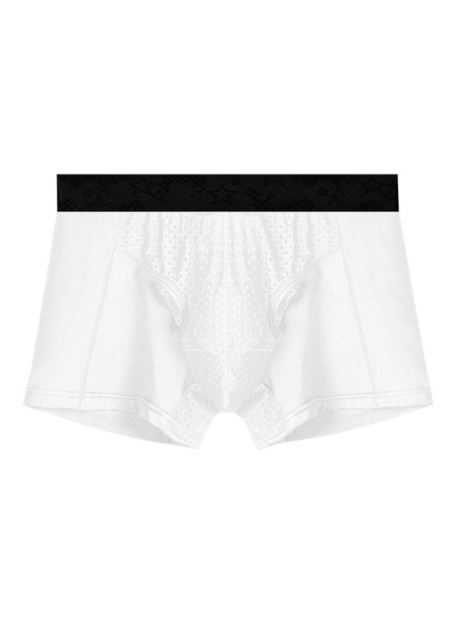 Men's Scrotal Support Underwear With Bullet-style Separation, Ice Silk Pouch For Varicose Veins, Boxer Briefs