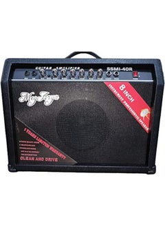 Megarya MegArya TG-40R Guitar Amplifier Black 40 Watts  - Image 1