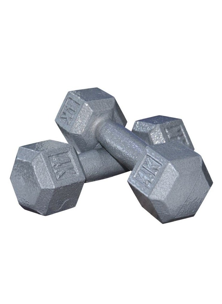 Generic 2-piece hex dumbbell set, 4 kg 