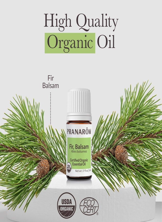Pranarom - Fir, Balsam Essential Oil 5ml - Diffusing for Relaxation Therapy - Certified Organic Purity - Sustainably Harvested, Non-GMO, Cruelty-Free - Supports Respiratory Health - Image 4