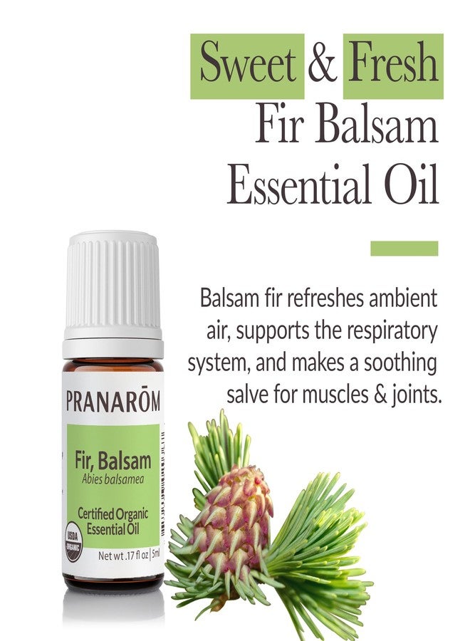 Pranarom - Fir, Balsam Essential Oil 5ml - Diffusing for Relaxation Therapy - Certified Organic Purity - Sustainably Harvested, Non-GMO, Cruelty-Free - Supports Respiratory Health - Image 2