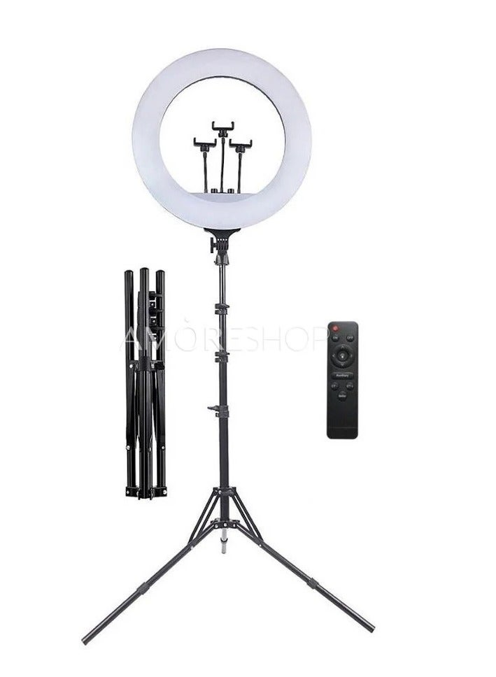 RL21 Inch Ring Light Tripod LED Soft Ring Light with Remote Control - Image 4