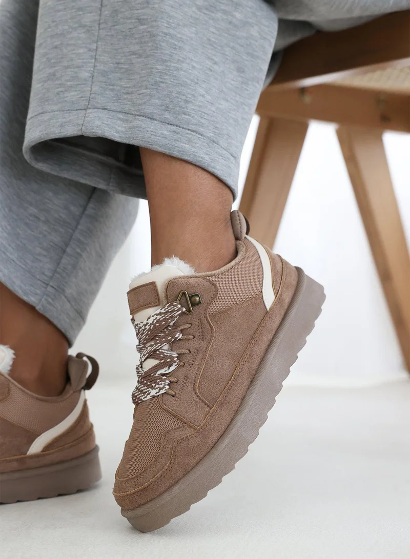 Where's That From  'Darcy' Suede Lace-Up Trainers with Chunky Sole and Mesh Panel for Women | Best Price UAE