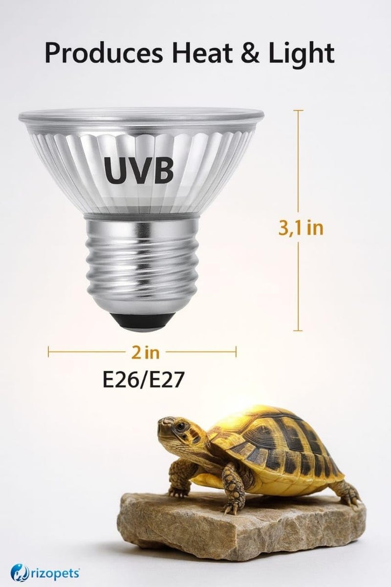 rizopets Reptile Heat Bulb, Full Spectrum UVA/UVB E27 Socket Base Basking Bulb for Turtle, Reptiles, Amphibians, Aquarium Tank & Terrarium (50 Watt, Pack of 01) - Image 4