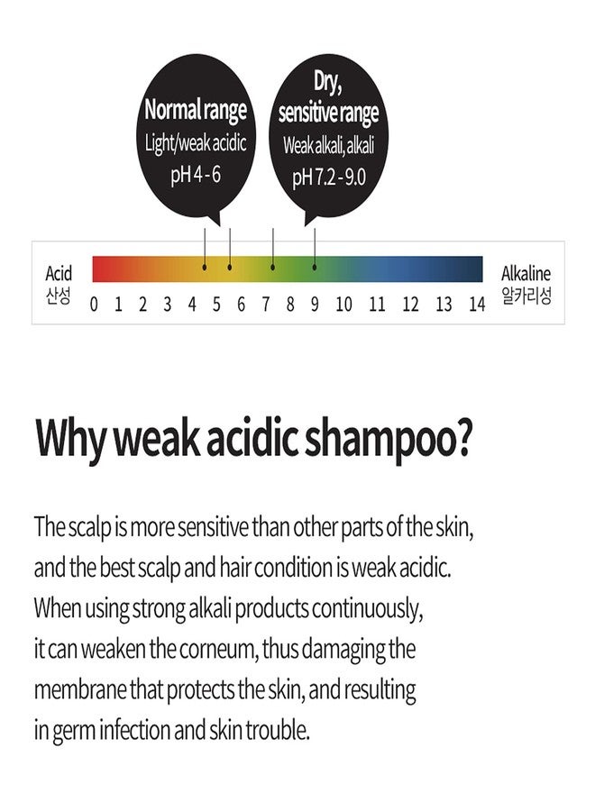 DAENG GI MEO RI مجموعة شامبو داينغ جي ميو ري - كي جولد جينسنغ بلوسوم 2، جينسنغ حقيقي داخل، شامبو عشبي، نمو الشعر، منع تساقط الشعر، 24.01 أونصة سائلة لكل منهما - Image 5