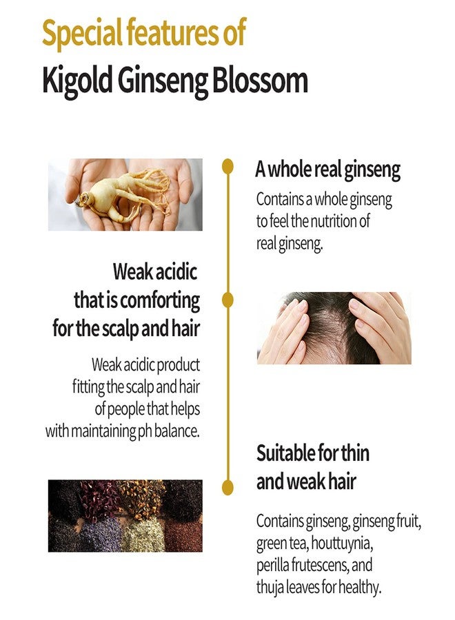 DAENG GI MEO RI مجموعة شامبو داينغ جي ميو ري - كي جولد جينسنغ بلوسوم 2، جينسنغ حقيقي داخل، شامبو عشبي، نمو الشعر، منع تساقط الشعر، 24.01 أونصة سائلة لكل منهما - Image 4