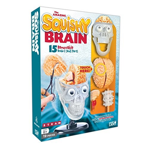 SmartLab Toys The Amazing Squishy Brain - Image 1