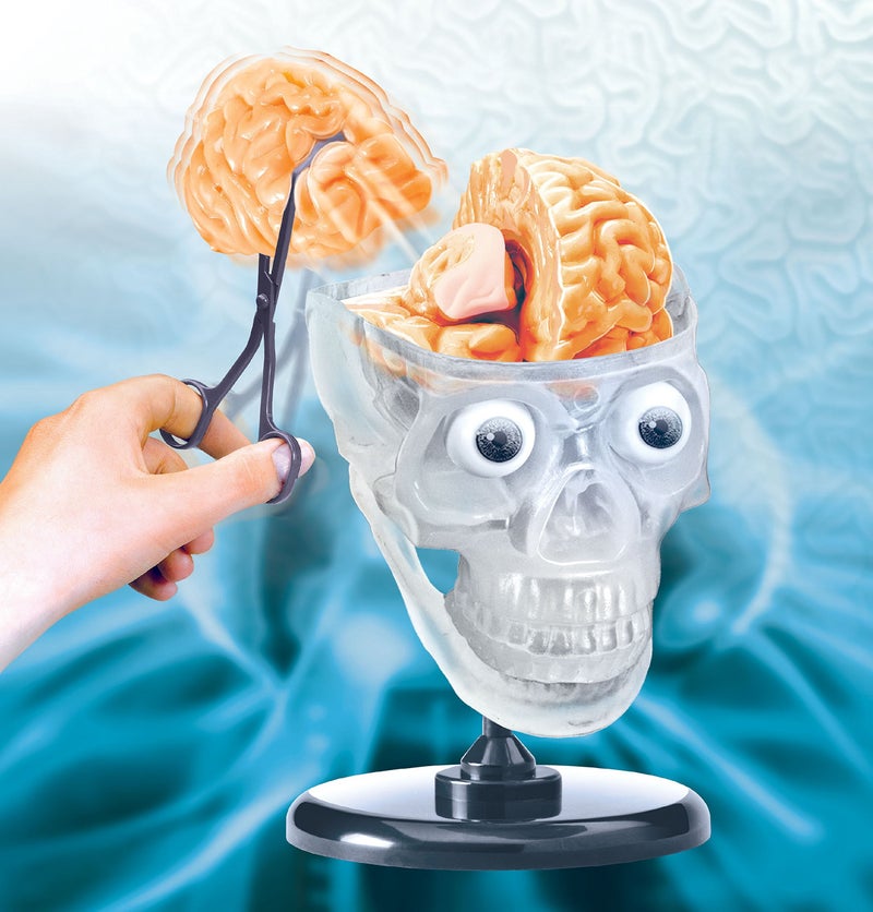 SmartLab Toys The Amazing Squishy Brain - Image 4