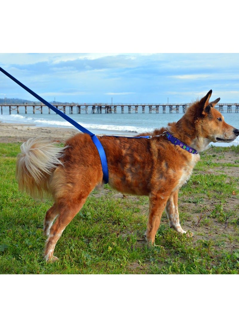 Plan A Dog Training Leash, Dog Leash Puppy Long Nylon Dog Leash for Training, Camping, Behavior Improvement, Recall for Small Medium Large Dogs - Blue  - Image 2