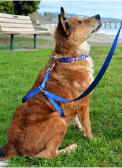 Plan A Dog Training Leash, Dog Leash Puppy Long Nylon Dog Leash for Training, Camping, Behavior Improvement, Recall for Small Medium Large Dogs - Blue  - Image 1