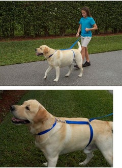 Plan A Dog Training Leash, Dog Leash Puppy Long Nylon Dog Leash for Training, Camping, Behavior Improvement, Recall for Small Medium Large Dogs - Blue  - Image 3