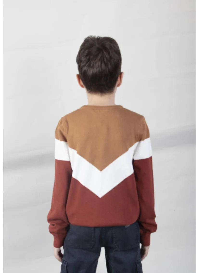 Alexander Gardi Boy's Patterned Sweater (C21-18676)