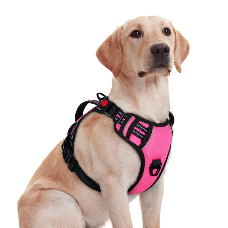 rabbitgoo Dog Harness Medium Sized, No Pull Pet Harness with Soft Padded Handle, Adjustable Reflective Vest with 3 Buckles, Easy Walking Harness with 2 Leash Clips, Pink, M - Image 1
