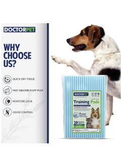 DOCTERPET Doctor Pet Training Pads Lavender 20's (60x90cm) – Extra Large Rapid-Dry Leak-Proof Pads,Scented, 6 Layers Quilted, Superior Absorption, Odor Control, Pet Training for Dogs, Cats, Rabbits 65g  - Image 2