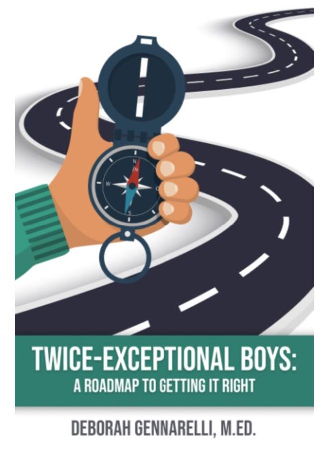 Twice Exceptional Boys : A Roadmap to Getting it Right 