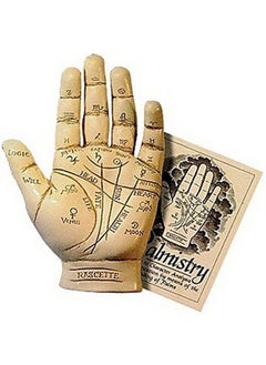 Palmistry Hand Model Resin Sculpture Fortune Telling Palm Reading With Booklet