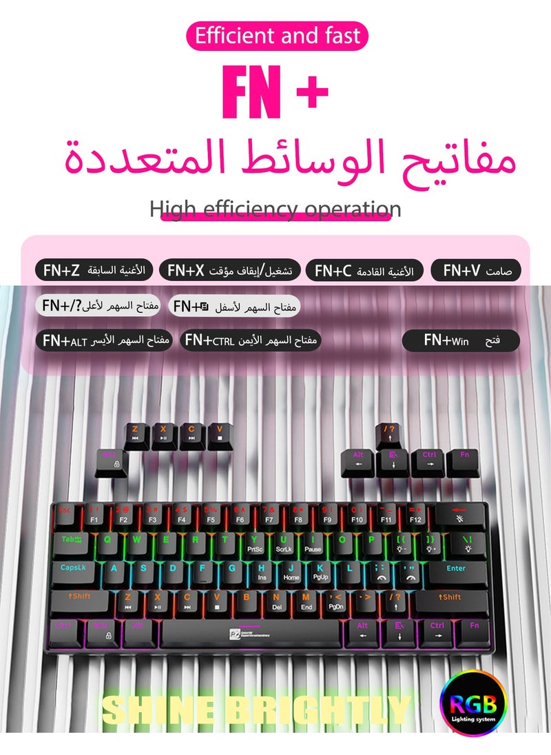 R8 - Gaming Keyboard,61 Keys Mechanical Keyboard,60% Mini Wired Waterproof Backlit Silent White RGB Color,Suitable for PC/Ps4/Xbox Gamers - Image 1
