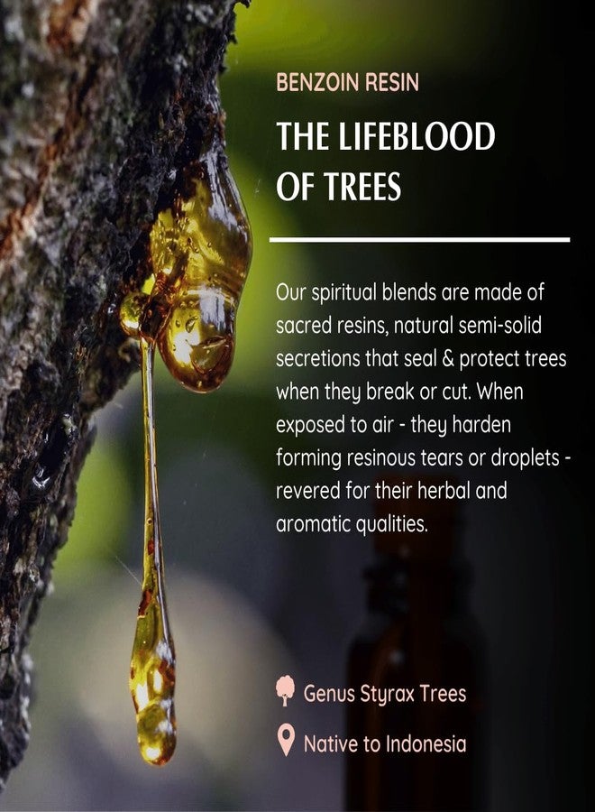 Aromafume Benzoin Resin Essential Oil Diffuser Blend 30ml by Aromafume | Styrax Extract Blended | Native to Indonesia | Promotes Peace and Help Focus During Meditation | Charged with Pure Resins - Image 5