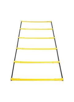 Elevation Ladder APD-ELAD-02