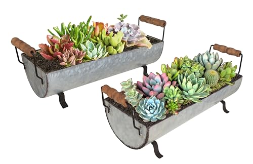 ShabbyDecor وعاء نباتات عصارية معدني مجلفن من شابي ديكور - مجموعة من 2 - Image 4