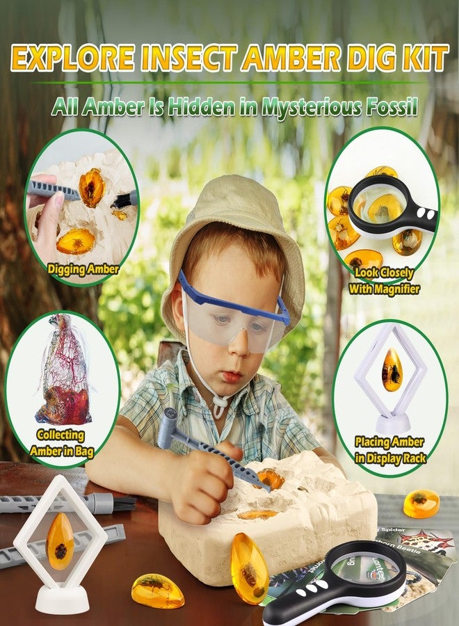 Woumserta Amber Dig Kit - Insects in Resin, 8 Insects Specimens Excavation Kit, Gemstone Bugs for Kids, Fossil Bug Toys Dig Kits for Bugs Collection, Insect Toys for Boys Girls 6 and up Year Old Birthday Gifts - Image 3