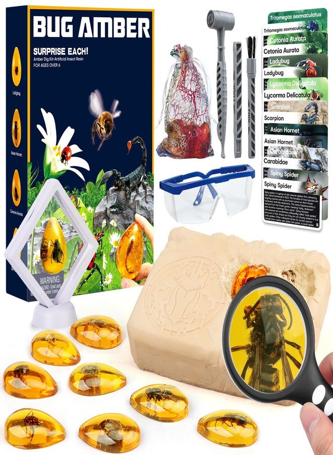 Woumserta Amber Dig Kit - Insects in Resin, 8 Insects Specimens Excavation Kit, Gemstone Bugs for Kids, Fossil Bug Toys Dig Kits for Bugs Collection, Insect Toys for Boys Girls 6 and up Year Old Birthday Gifts - Image 1