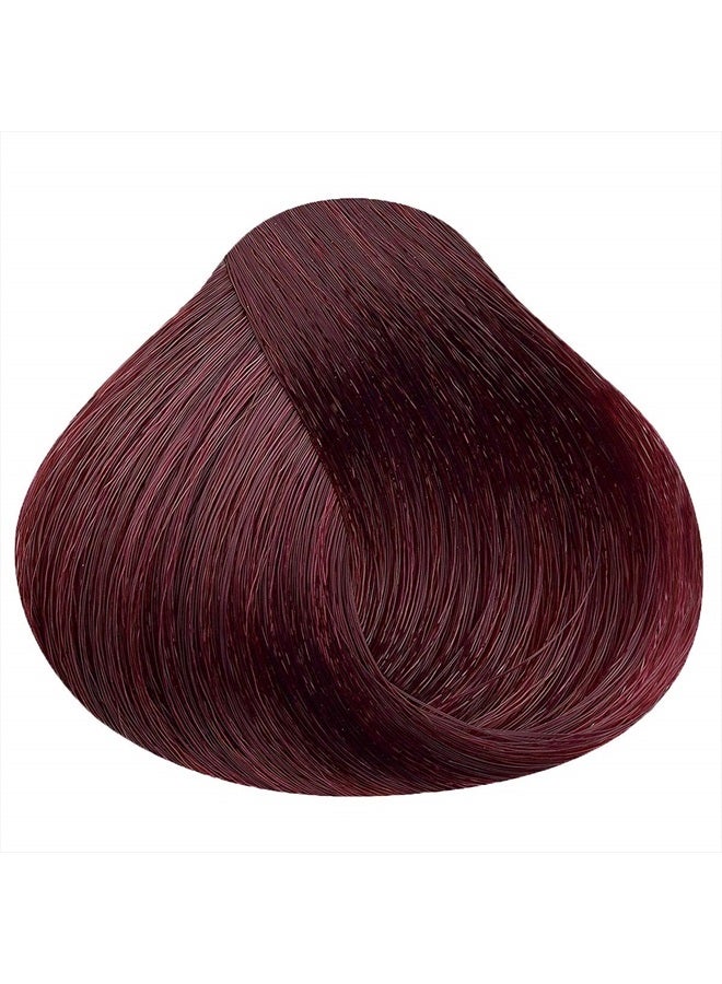 Developlus Satin | Bold Plum Red | Complete Hair Dye | Permanent and Semi-Permanent | Long Lasting | Vegan and Cruelty-Free - Image 2