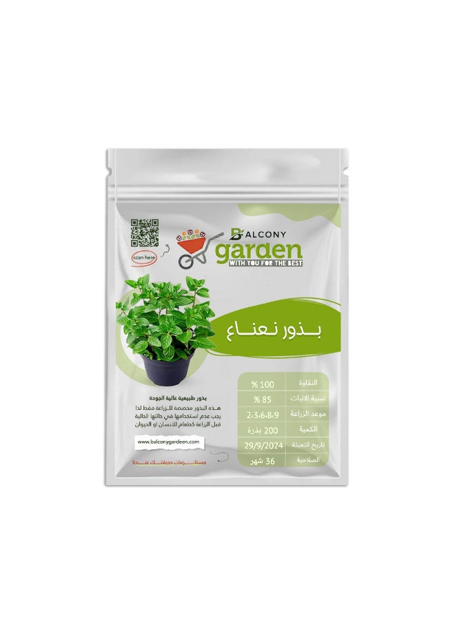 Mint seeds (200 seeds) - Pure, natural seeds, easy to grow for the garden and balcony