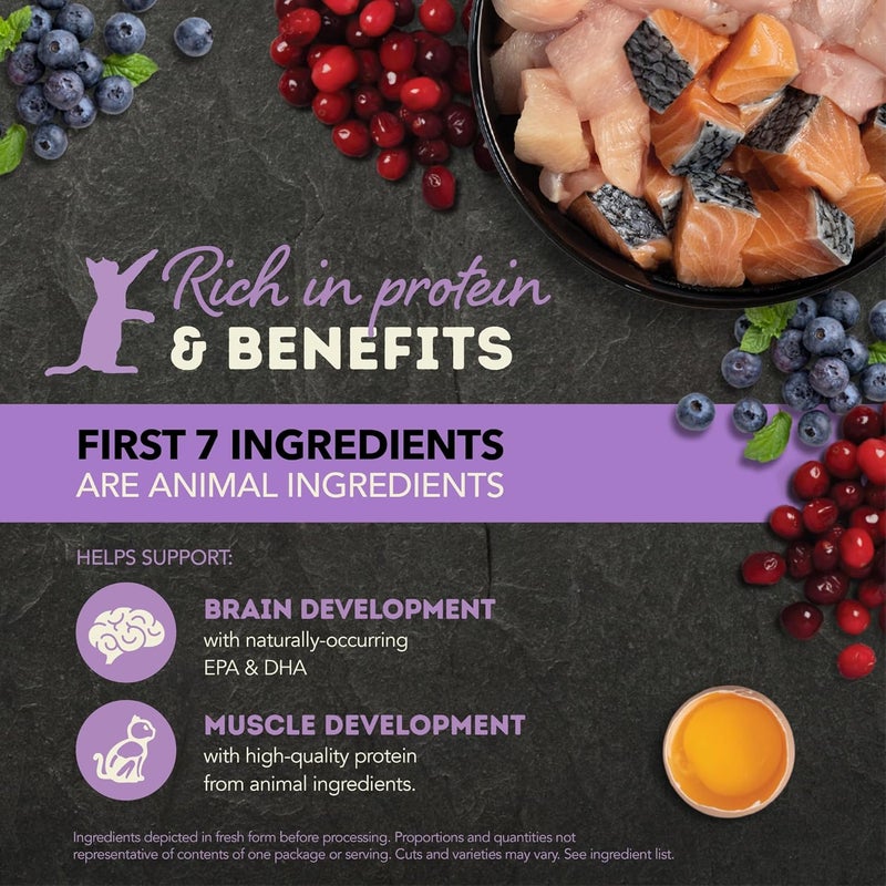 acana أكانا قطع في مرق دجاج سمك السلمون لوصفة القطط الصغيرة 3 أونصات علبة من 12 علبة - Image 4