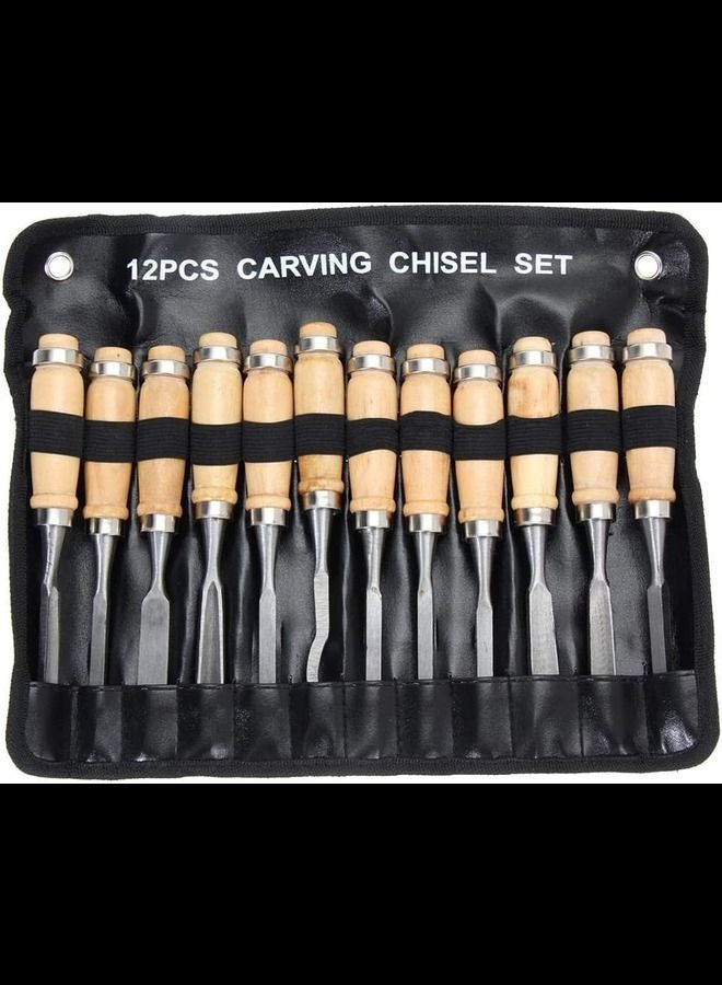 ABBASALI Wood Carving Hand Chisel Woodworking Lathe Gouges Tools Set (12 Pieces )  - Image 1