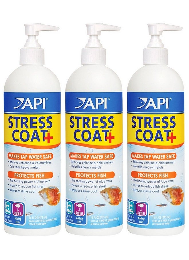 ايه بي آي طلاء API Stress Coat مع مضخة، عبوة من 3 قطع، 16 أونصة 