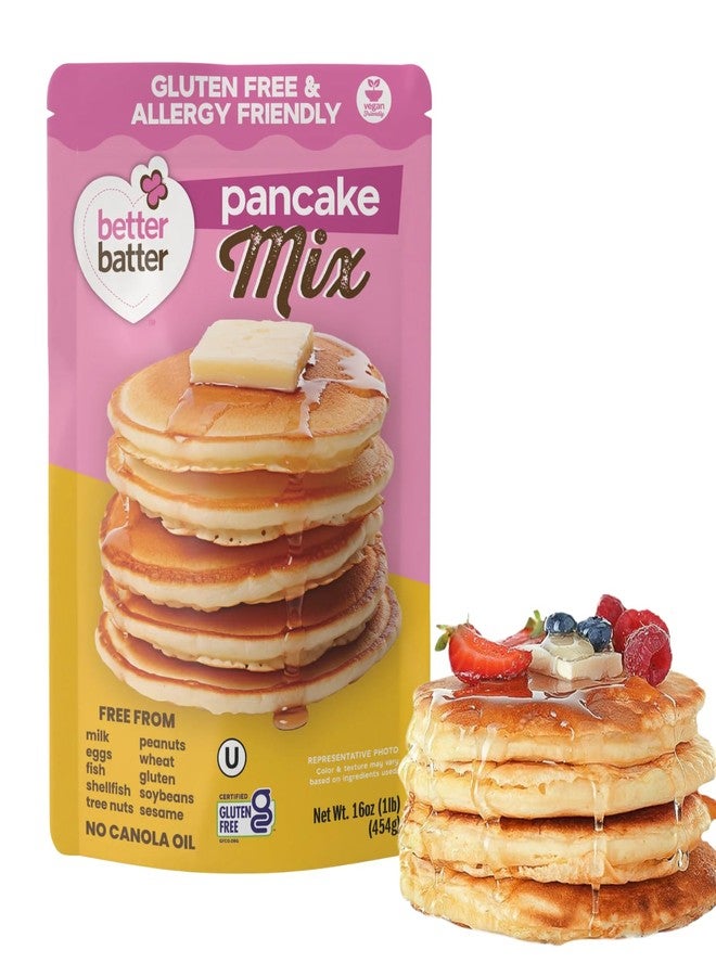Better Batter مزيج بان كيك بيتر باتر | مزيج معتمد كوشير، نباتي، وخالٍ من الغلوتين، مثالي لخبز فطائر بان كيك هشة وخالية من مسببات الحساسية التسعة الرئيسية! ما عليك سوى إضافة الماء والبيض والزبدة. هدايا مطبخ هوستس، عبوة 1 رطل - Image 1